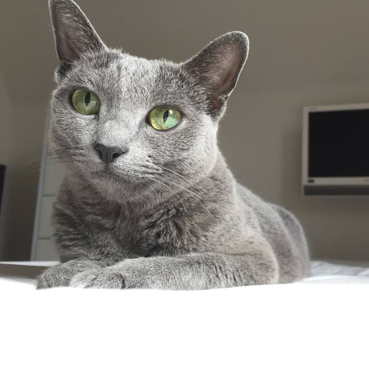 13374af2 6808 4bd3 b941 5d594c5afc40