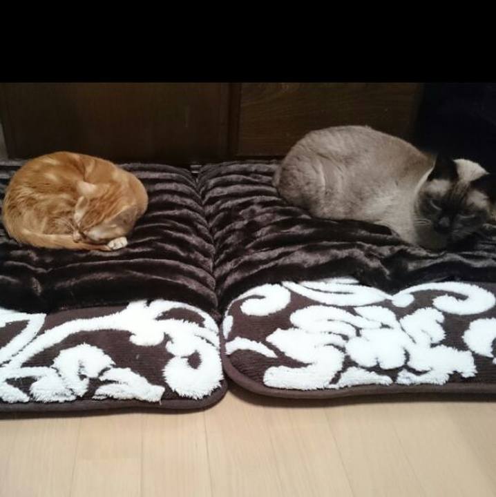 133797a2 796d 4e5c ac4d 2470c5ab3862