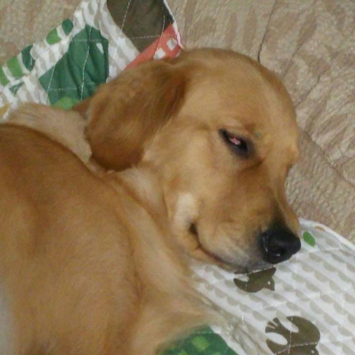 1337e030 5ebb 4c6f 9ce3 3cdd0d103bf6