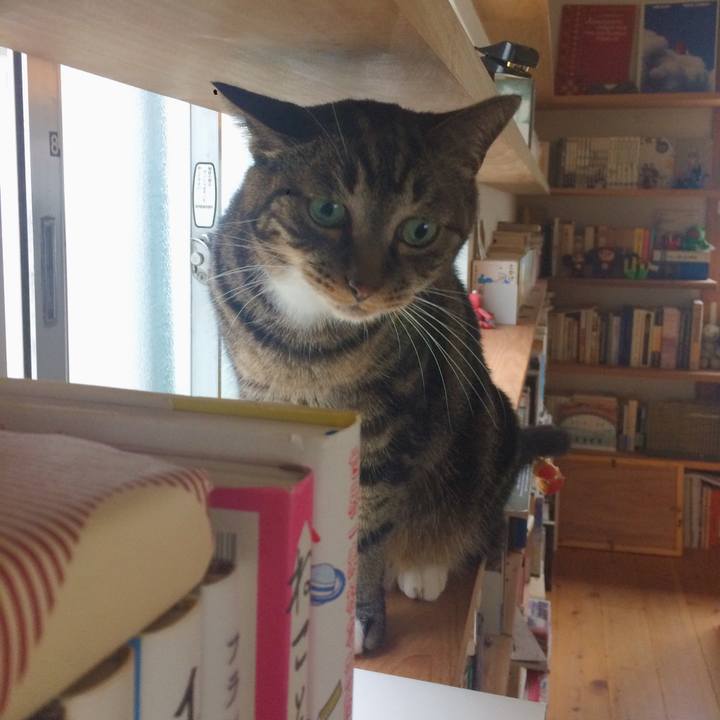 13381c4c 3250 4b08 b16b 27424009c9b9