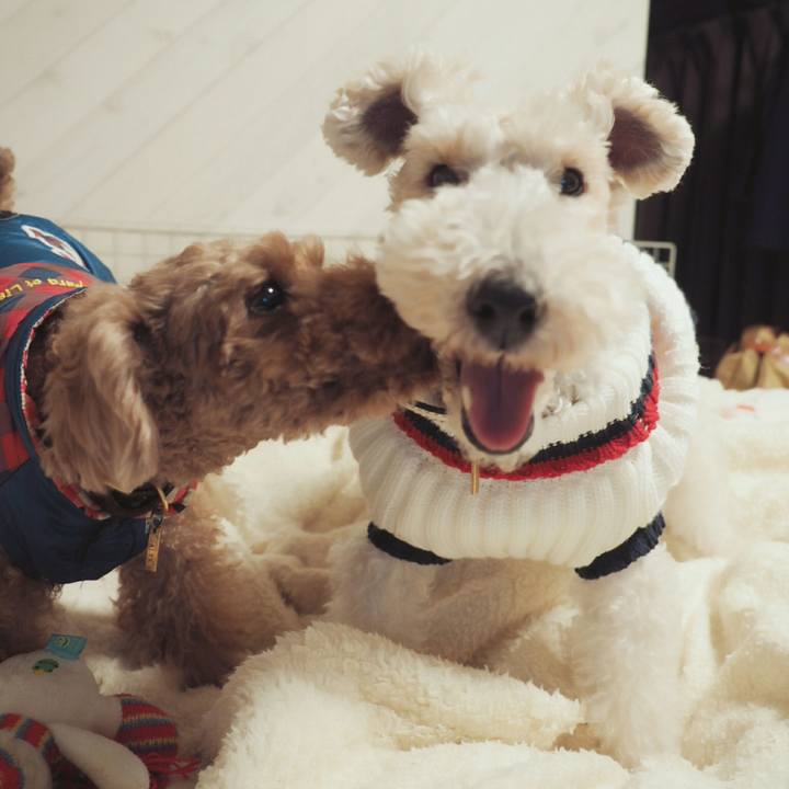 1338780e b76f 417b 84b8 b0a404a27553