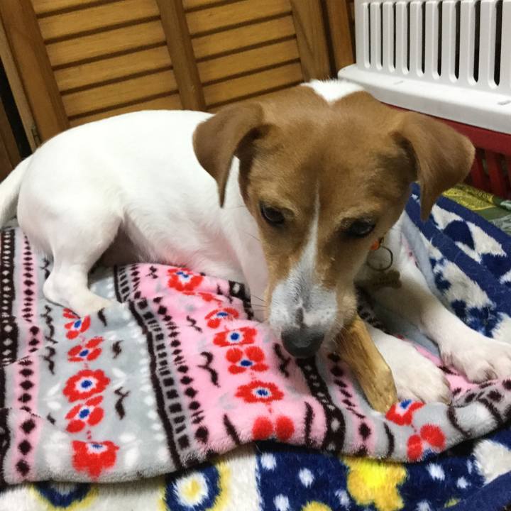 1338c2db 6fda 4b67 b80e 1699f226e9b2