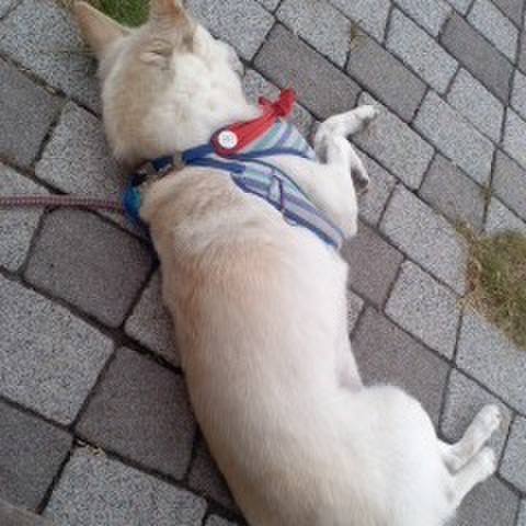 1338ed02 b665 4cd9 a741 fbf41c668630