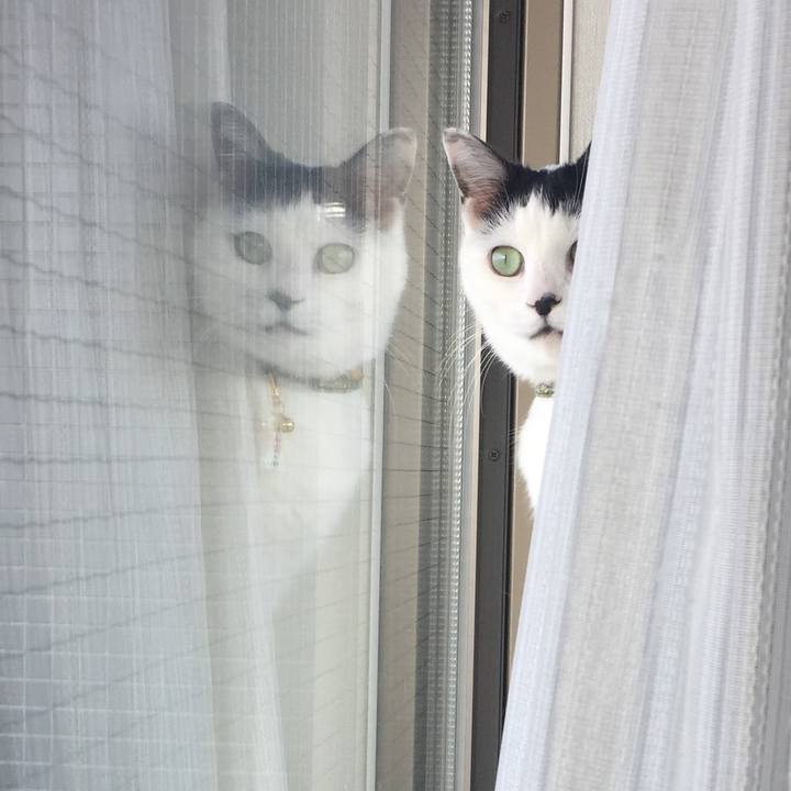 1339c7d8 6cff 4f36 962e 48aac68642da