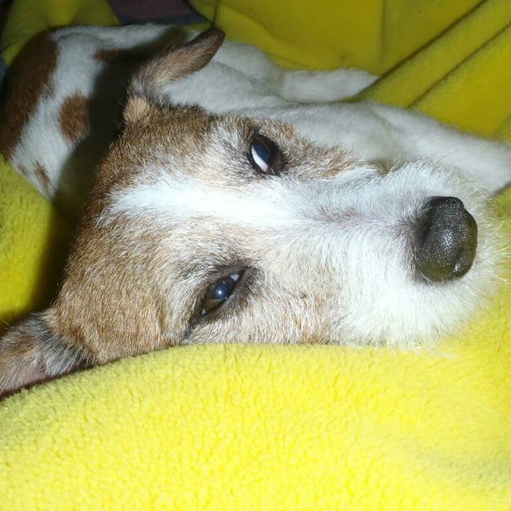 133ab5ec 9112 4257 a824 aba45ef8f089