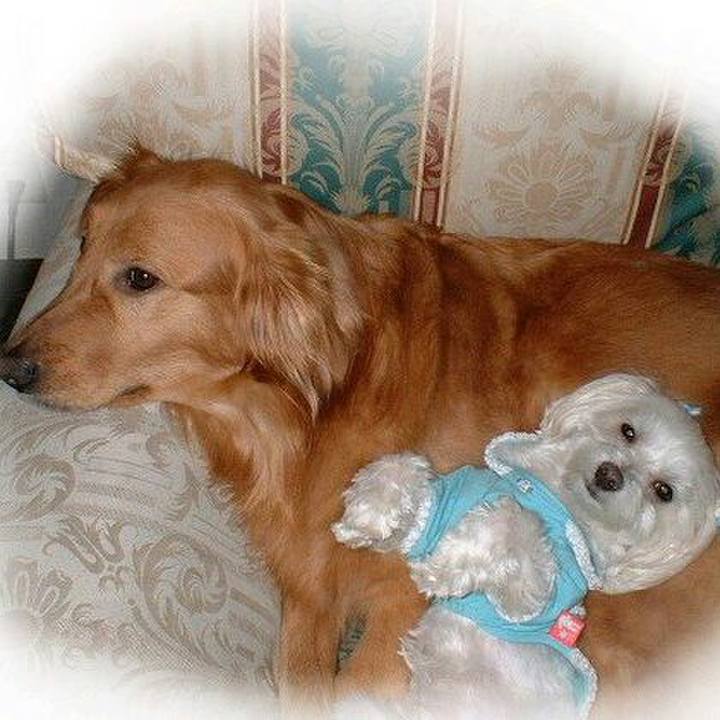 133aea57 0cd2 478b 8db3 a0d852b0ca9f