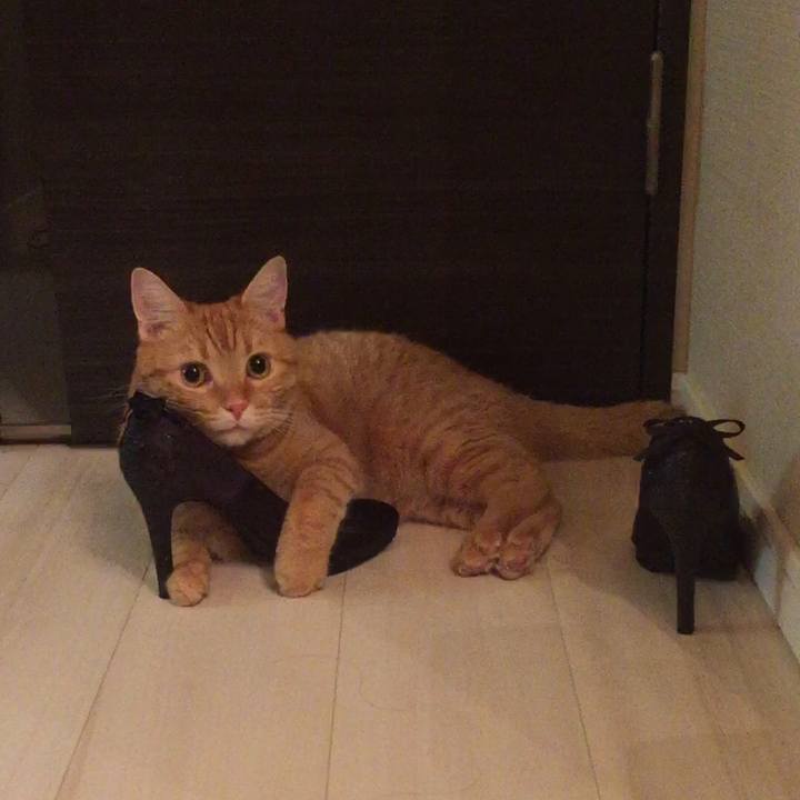 133b0159 bc15 405b bdc5 93b6b534dca8