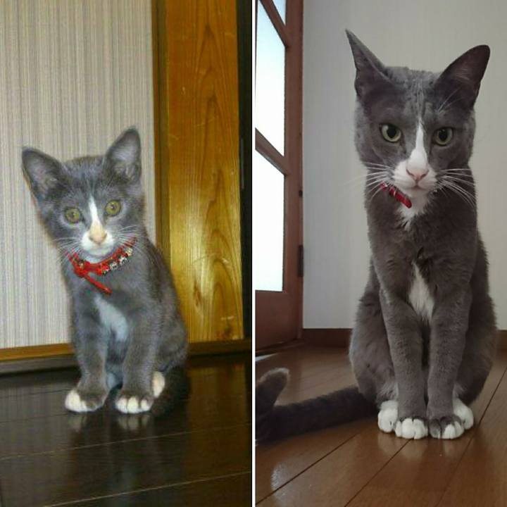 133bb3f8 822d 41c4 b7ee 1f17349fc7b8