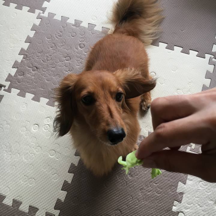 133bcbde 998e 420d a090 c209acf72c79