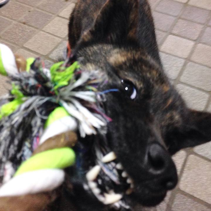 133c680b adef 47ed 87ae 60d947ea5b7e