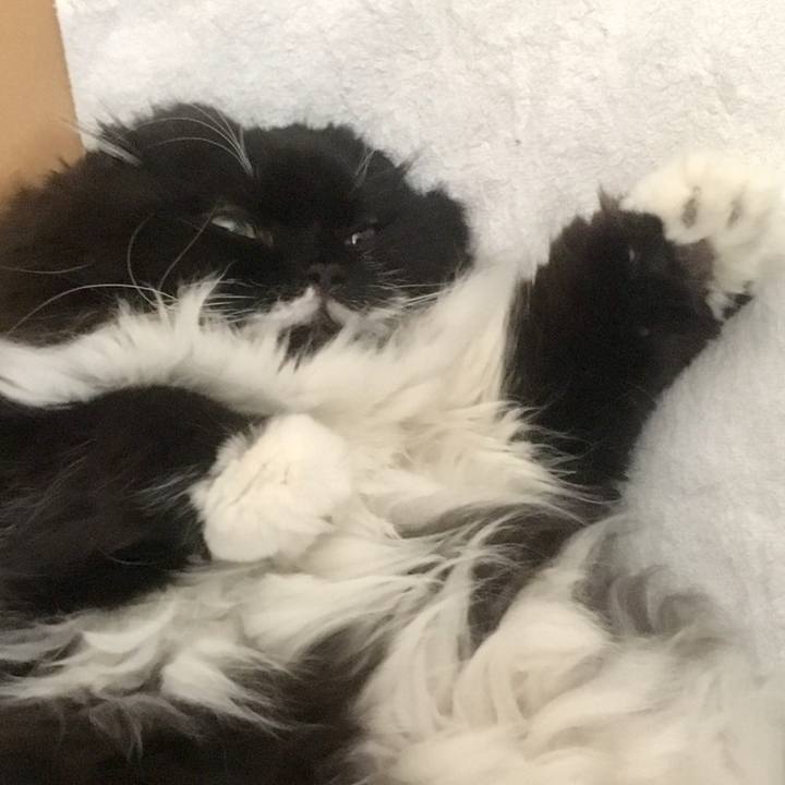 133d256c fbed 4e49 bb25 2c86aa82ef09