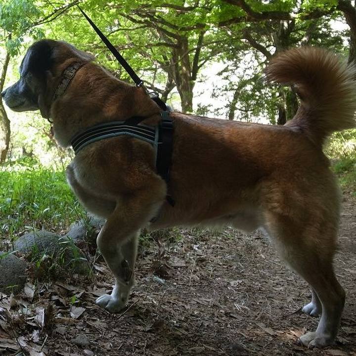 133d4df8 57bc 4d99 98b1 5d2a44428fca