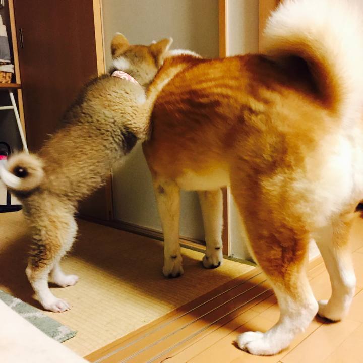 133d5319 5bd0 4546 a37a 45938b408dd9