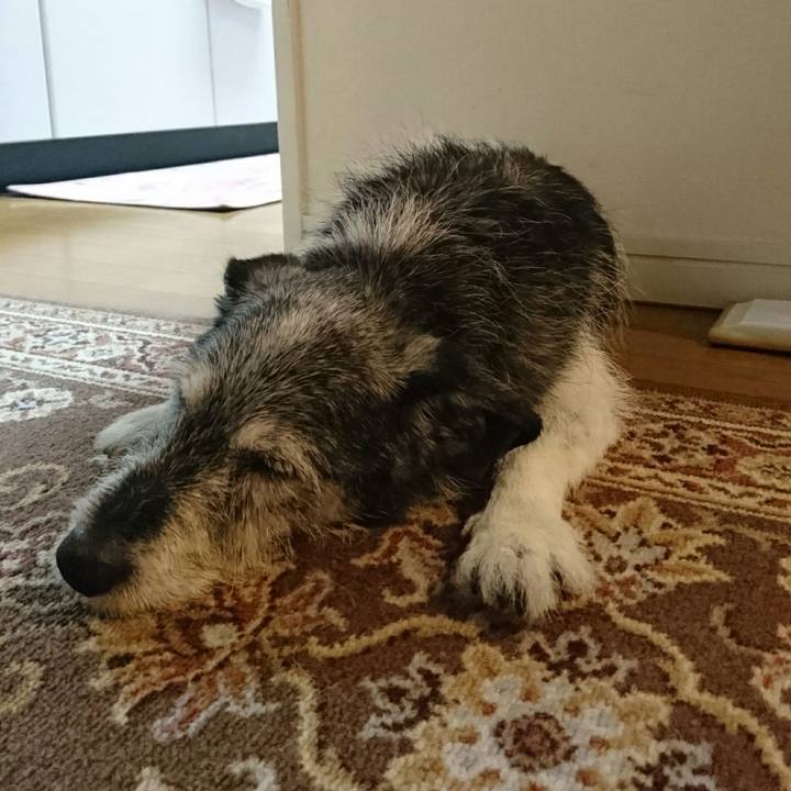 133dd3cd b684 41e2 b74a a0b9b5201cc5