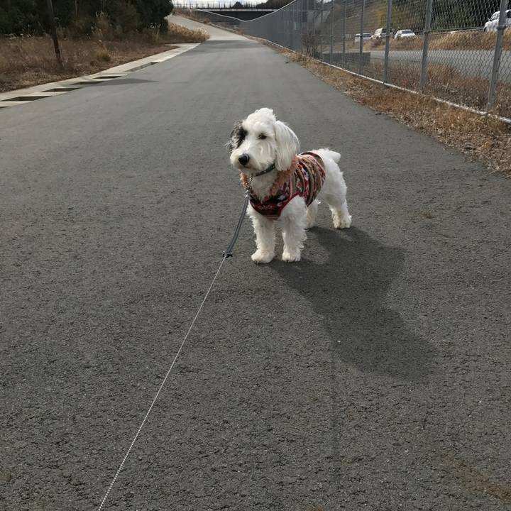 133e8488 10b2 4a89 ae01 d891891261ea