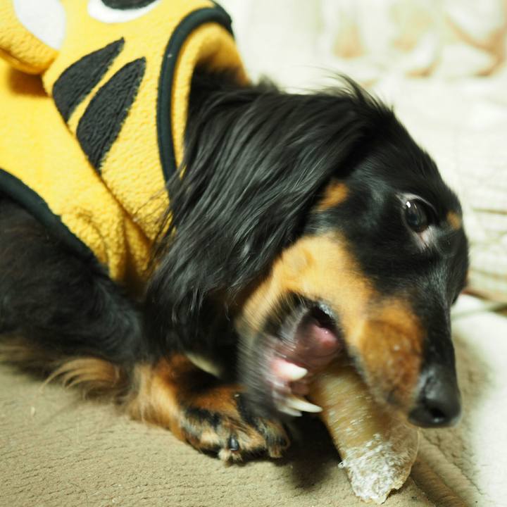 133fcf38 28d4 4554 aadd 492924cd6059