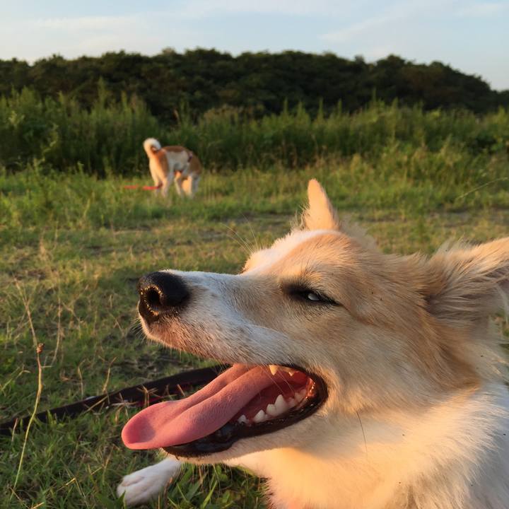 13400912 9179 453c 9172 338f7e90d961