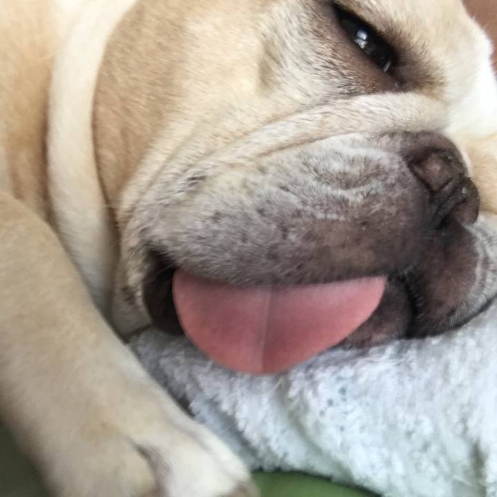 13401f4b a3b7 4c34 8e9f 5a5bee00ef89