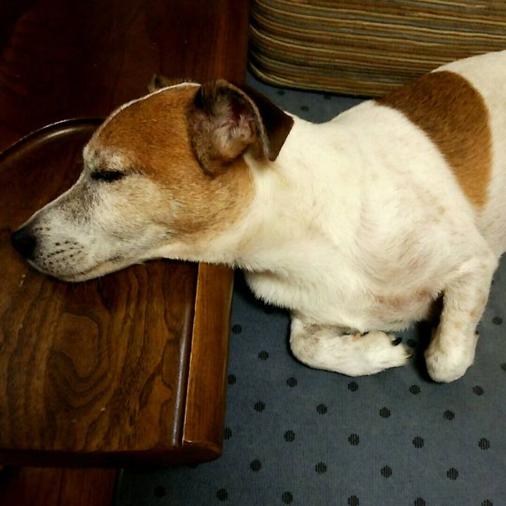 13412047 cf2b 4b47 bd3a fd0b213dfc95