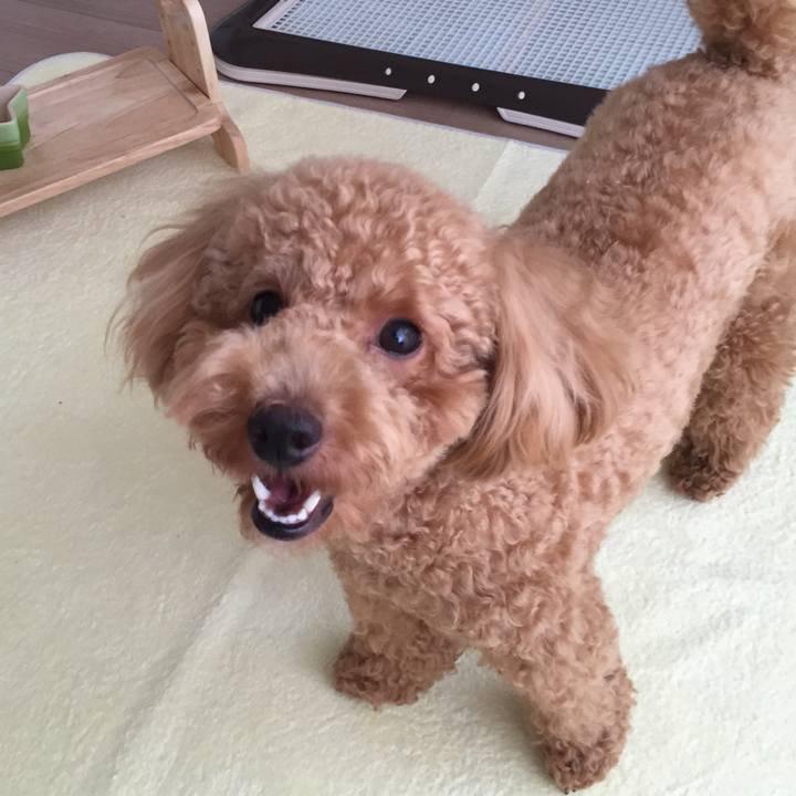 13413e16 9cd3 4050 b723 fd21195f3510