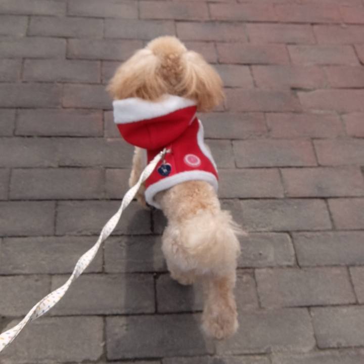 13416faf 8e82 4fa3 9144 94090ef71c6f