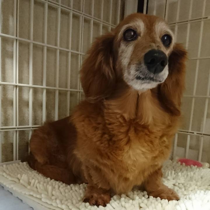 1341c566 dfe3 4f6f 88cb d73c8adaf824