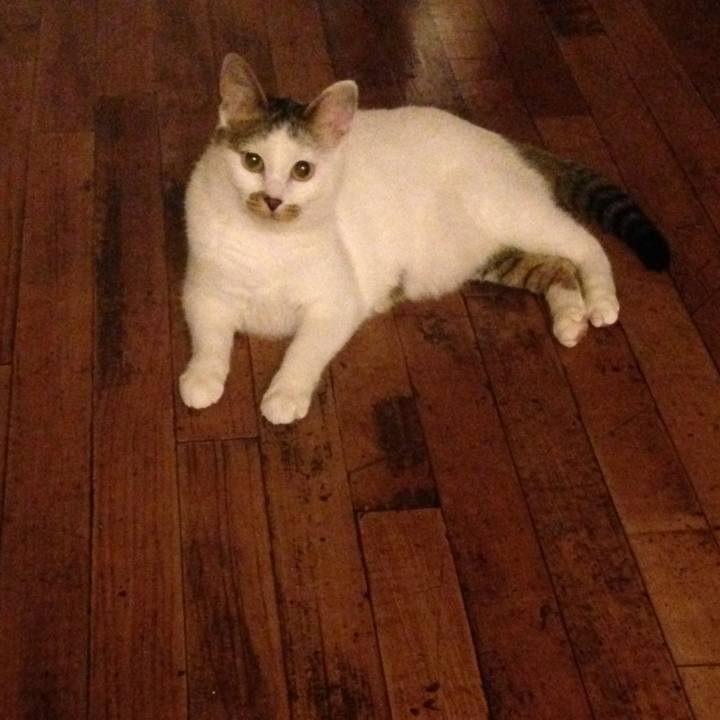 13428548 4d54 4922 b17a b8c2be32d54b