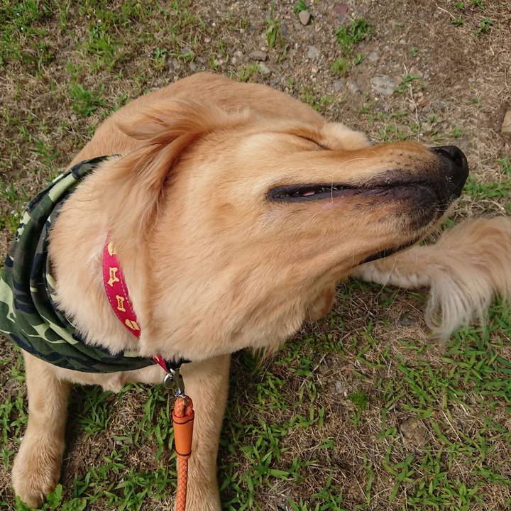 1342b48b fec2 46f8 aae6 e2691fe15c45