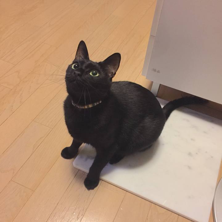 1342d953 0d96 42ed bad0 c228a8d62eee