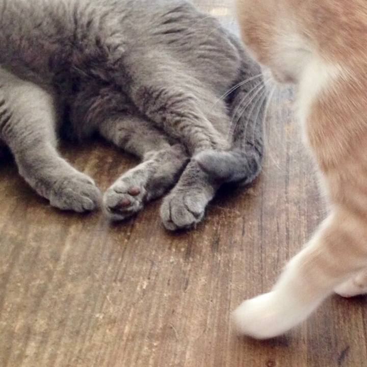 13435cb6 d68d 4f09 8386 4d076721ac5e