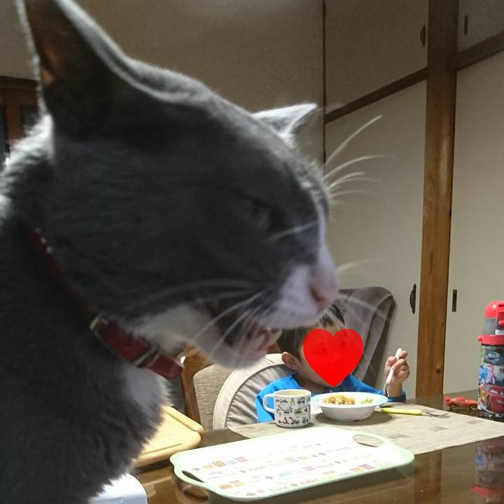 134364dd ef6b 4e45 b276 c99c19b7ada6