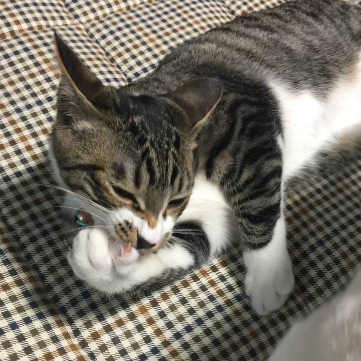 13436a43 2cb6 452a a238 ca01a26907ab