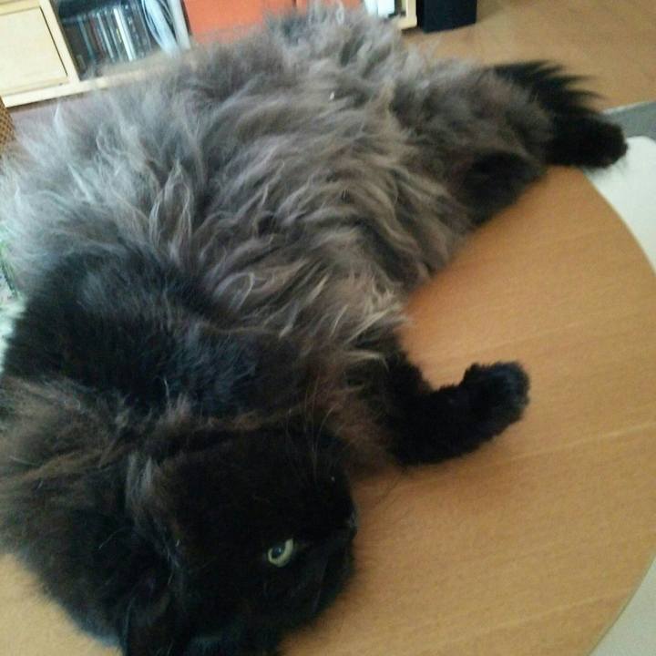 1343b112 72fa 44ca a988 d64156c7e7cc