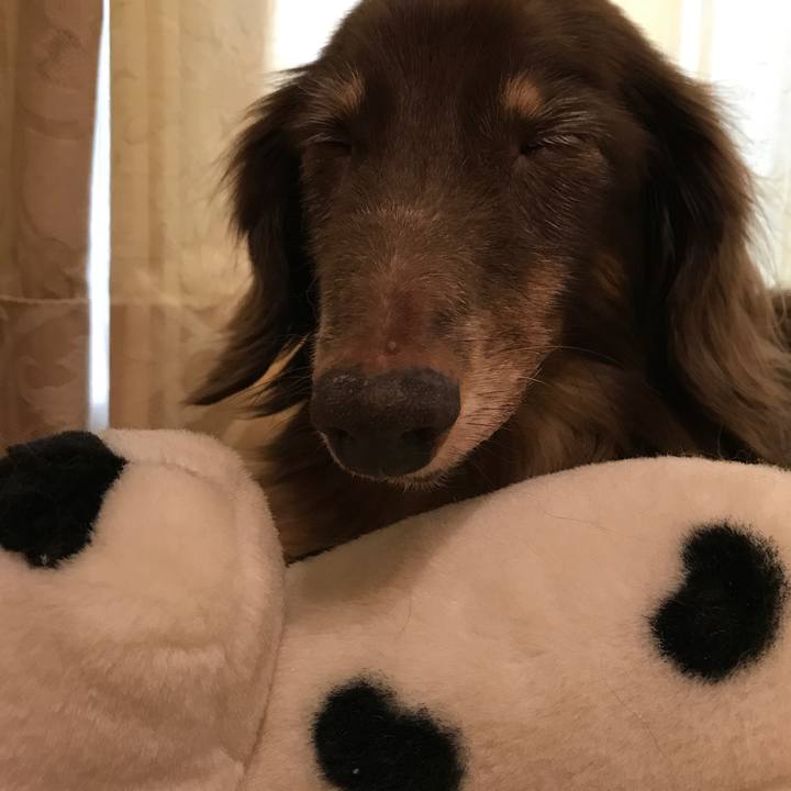 13447b15 611b 4c60 994f a118f7cb3e56