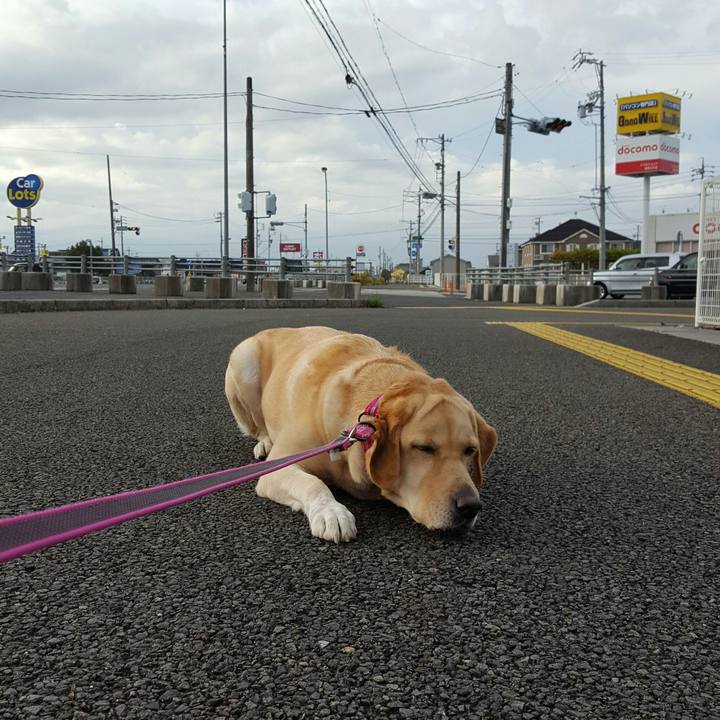 1344c1cc 6e61 468f a377 9e3683c70976