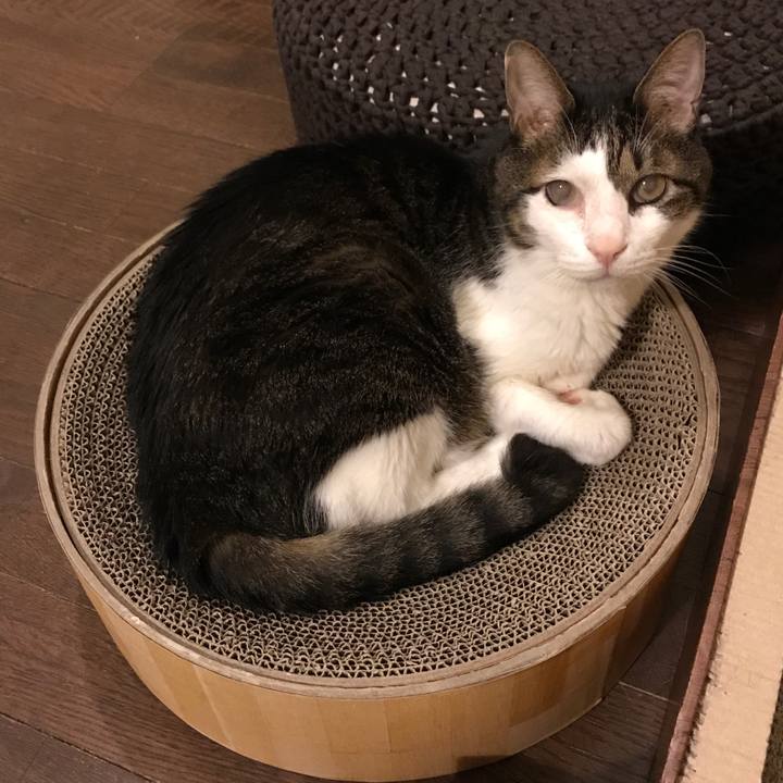 1344ebe1 53db 433c 80f5 0c8073974d9a