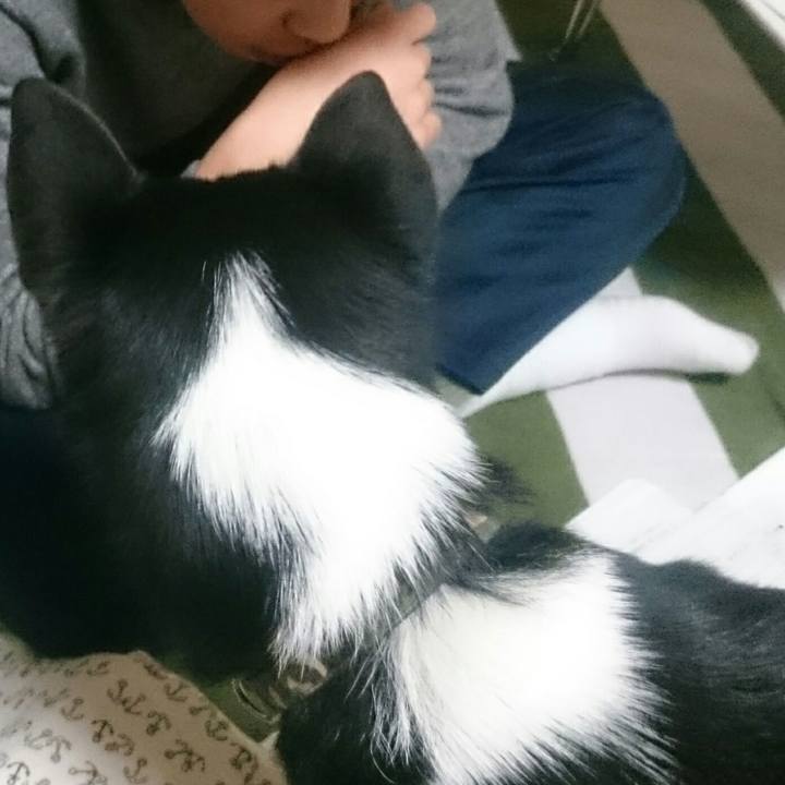 1345d967 d515 42dd a11e faa455d2c54f