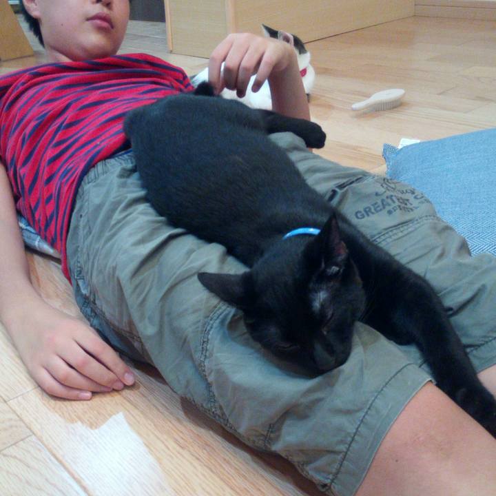 13467647 060c 4b42 934a 6c0885d2ea60