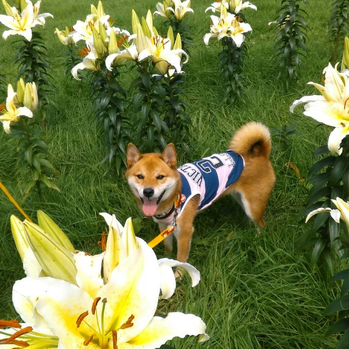 13469947 650b 48da 82d4 00bf86543c0d