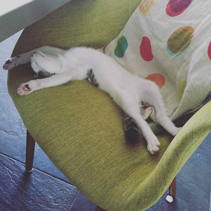 1346b270 5da4 4cb3 b4dc e4a96c446d0e