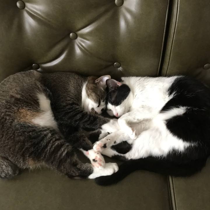 1346c267 b890 43a2 8128 87355d349239