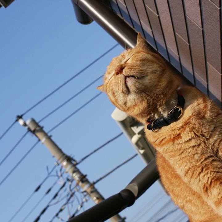 1346dfe6 9487 4951 abfd d797fb5b11f3