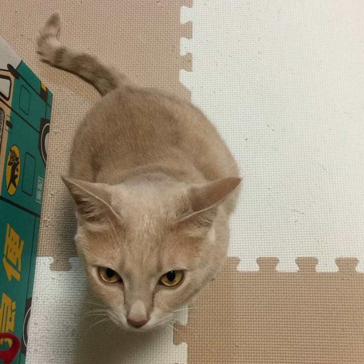 1347278b 0cb0 490f 9746 2ee342850bed