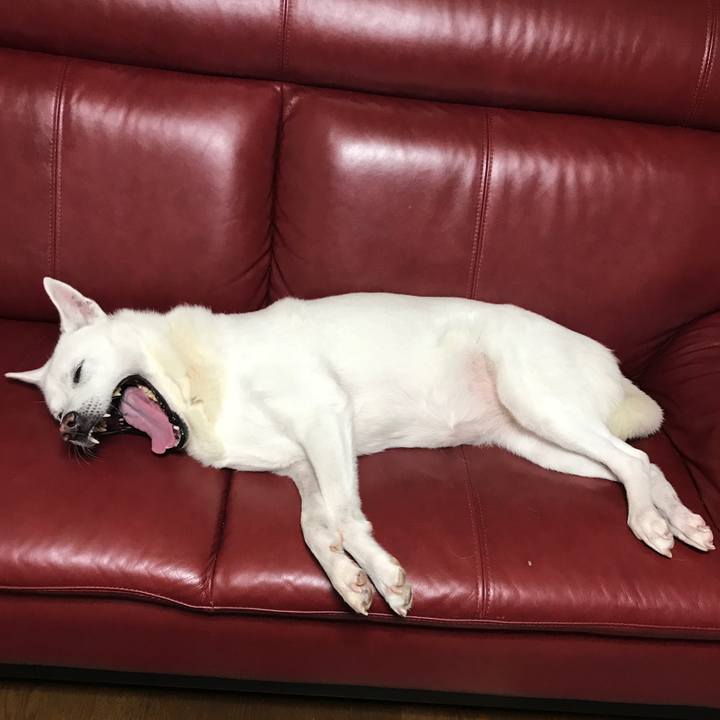 1347619a 4a68 463e b54b d3880bd6150b