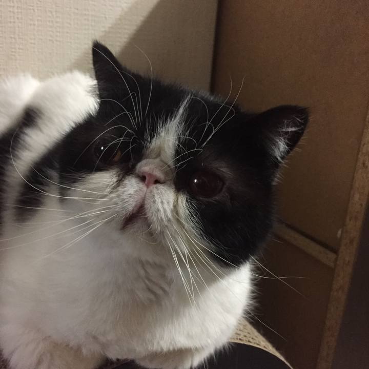 1347c885 36d5 4fdd be57 bbc1b2191bd7