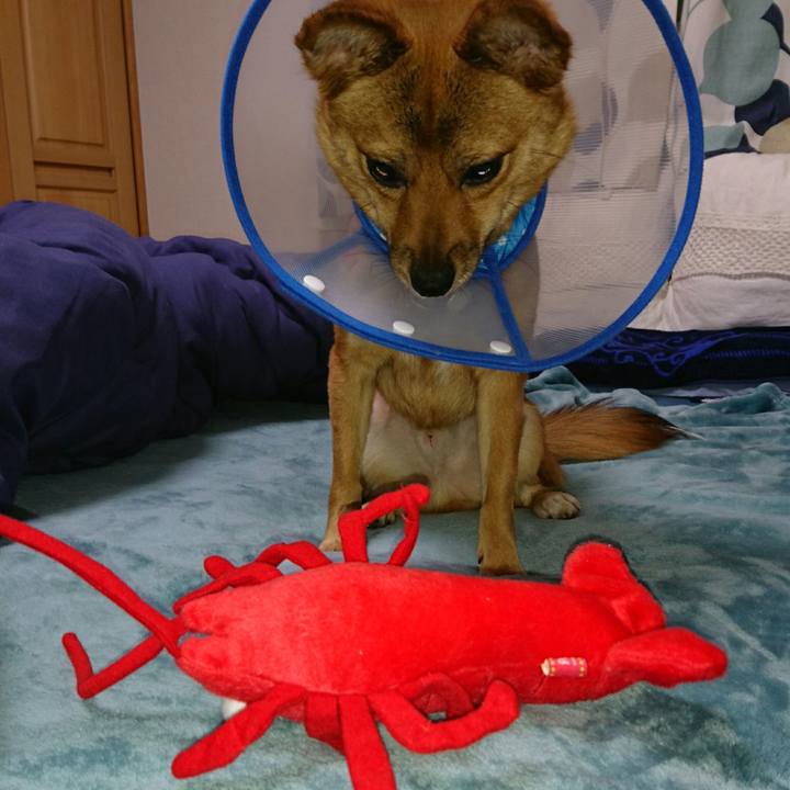 134842b0 c398 4c8c 94a1 86255362fe31