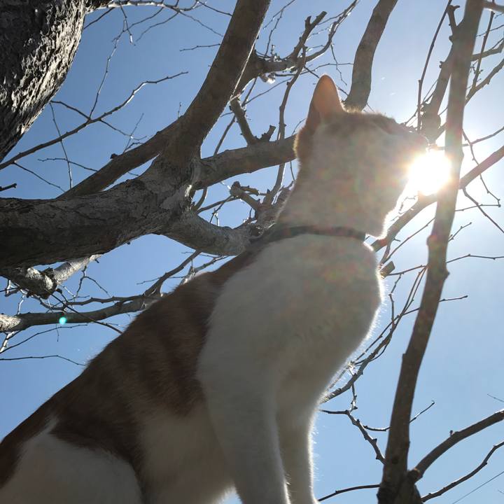 13485606 a61b 42bd 8cdd 70fab4d6f7ab