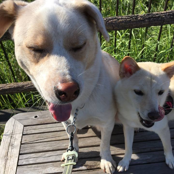 13488072 4589 49fc 9e75 84b84321edca