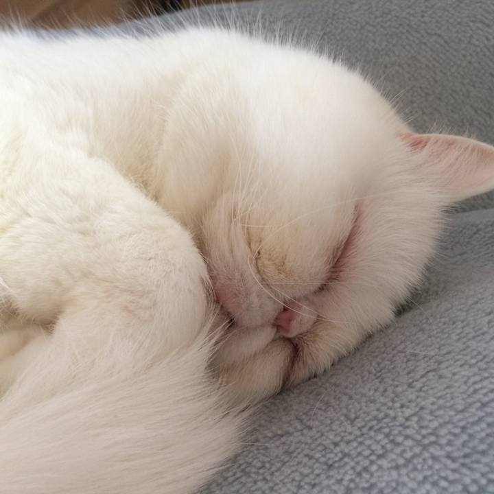 1348a774 4293 49d3 b9bb 590338e67a01