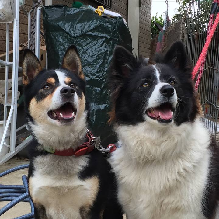 13496ac7 6b75 4466 aaf9 7f60574be91b